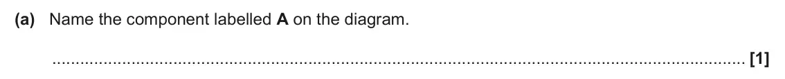 June 2025 Paper 2, question 18(a): Name the component labelled A on the diagram. [1]